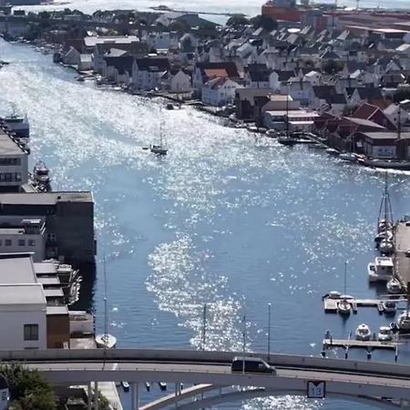 Cozy For Rent - Newly Renovated Lägenhet